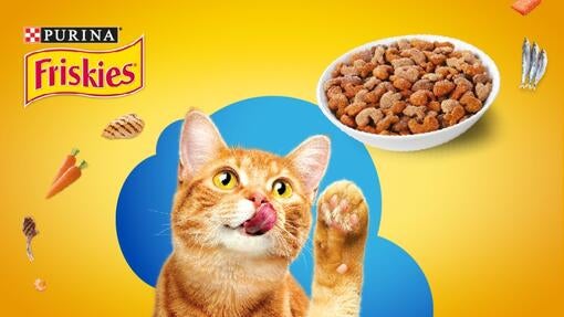 Nestle cat food best sale